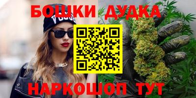 прущий лед Кингисепп