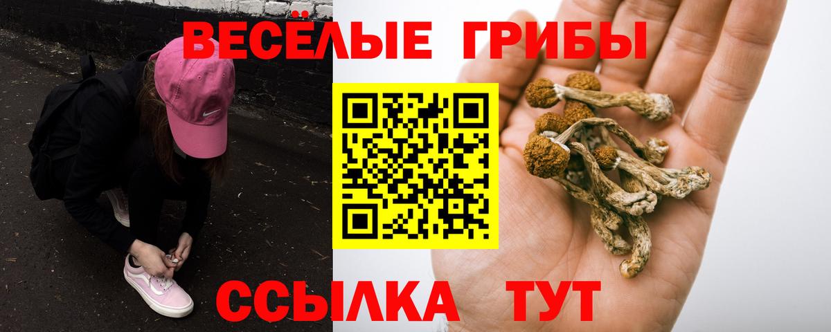Галлюциногенные грибы ЛСД Арсеньев