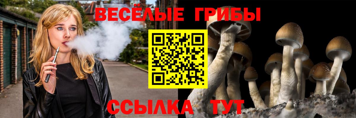 как найти   Псилоцибиновые грибы MAGIC MUSHROOMS  Арсеньев  Вход с VPN  Галлюциногенные грибы ЛСД 